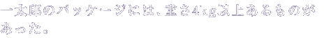 ꑾỸpbP[Wɂ́Ad4kgȏ゠̂B