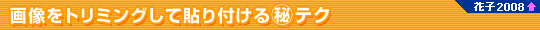 摜g~Oē\t}eN@Ԏq2008ȏ