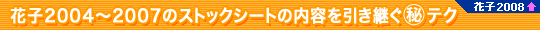 Ԏq2004`2007̃XgbNV[g̓ep}eN@Ԏq2008ȏ