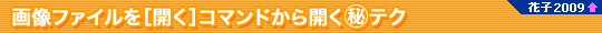 摜t@CmJnR}hJ}eNiԎq2009ȏj