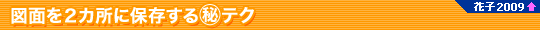 }ʂ2Jɕۑ}eNiԎq2009@\j