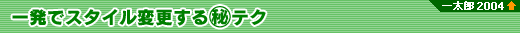 ꔭŃX^CύX}eN@ꑾY2004ȏ