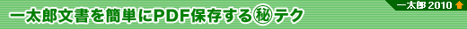 ꑾYȒPPDFۑ}eN@yꑾY2010@\z